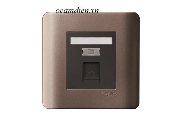 Tại sao bạn nên chọn ổ cắm điện dòng Zencelo A và ổ cắm điện thoại size S Schneider cho ngôi nhà của bạn?