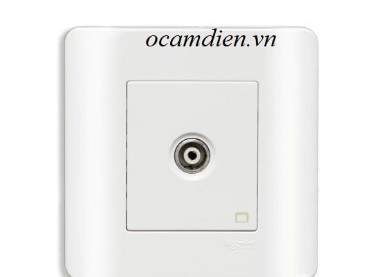 Tiện ích và tính năng của ổ cắm điện dòng AvatarOn ổ cắm TV đơn Schneider